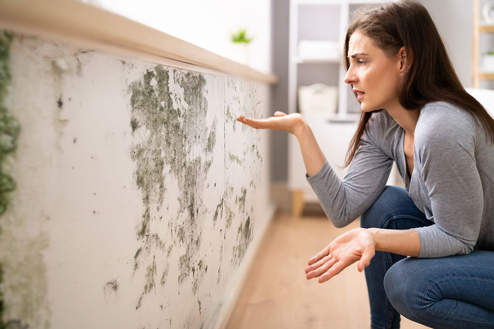 Így lesz a spórolásból extra kiadás - nézzük, mit tehetsz a penész ellen! - NYOLCAS.COM - ingatlan bérbeadás - lakáskezelés Budapest